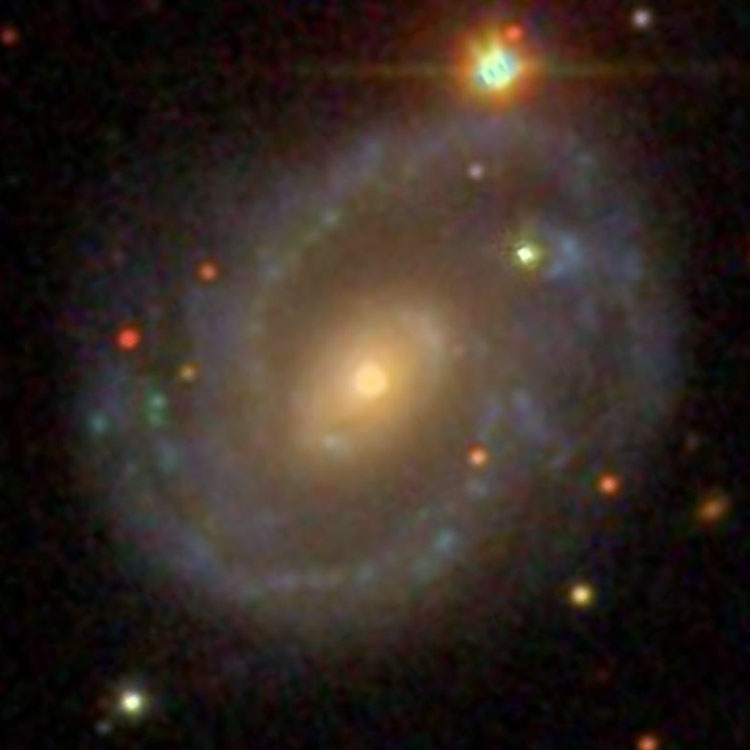 SDSS image of spiral galaxy NGC 1164