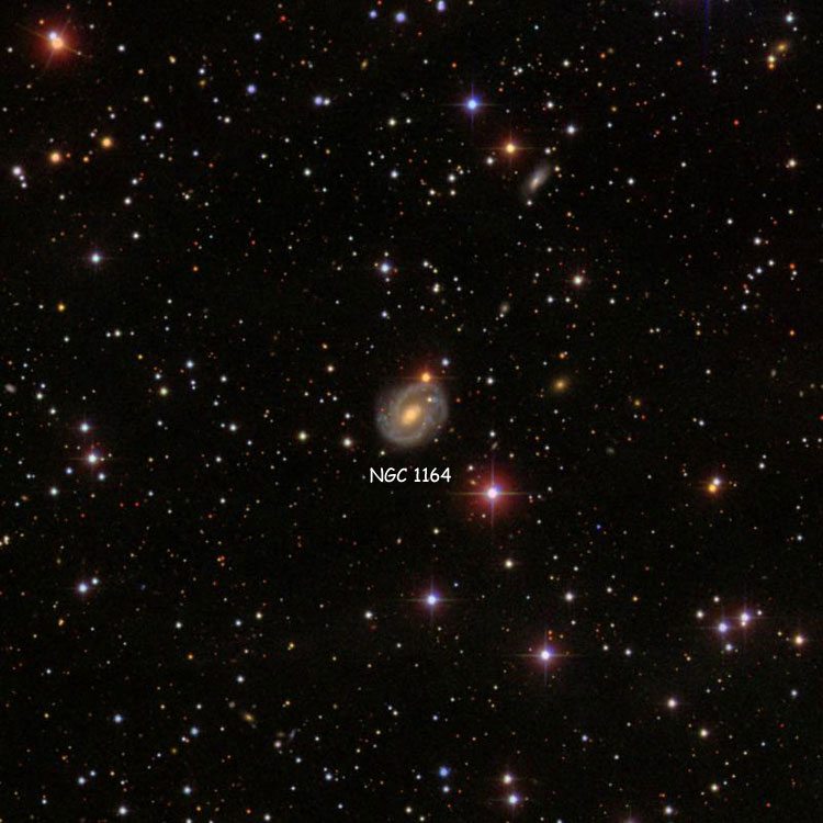 SDSS image of region near spiral galaxy NGC 1164