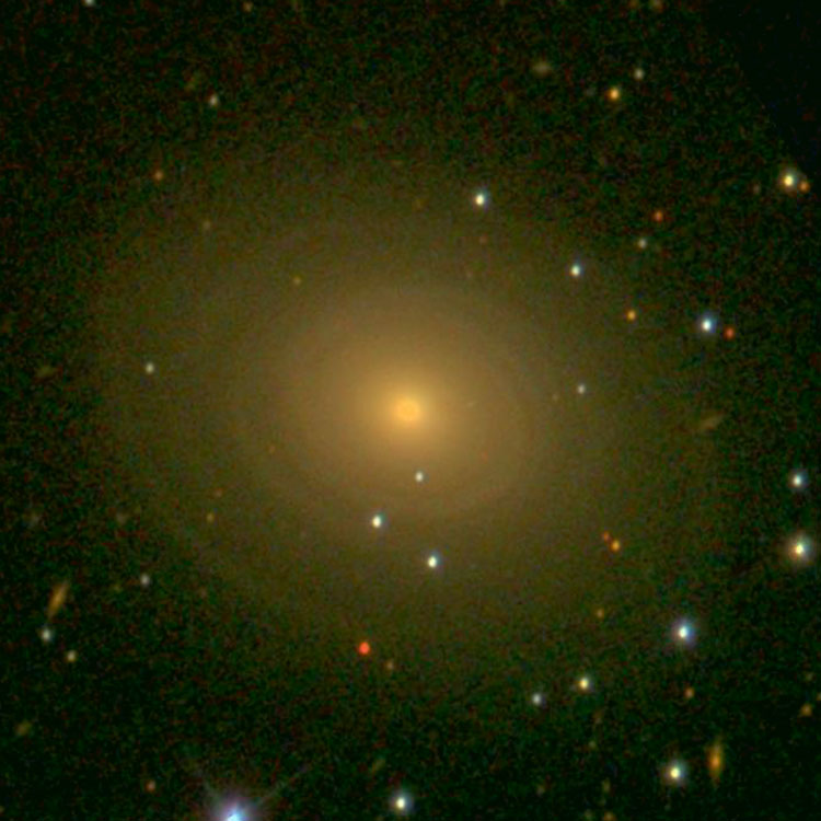 SDSS image of lenticular galaxy NGC 1167