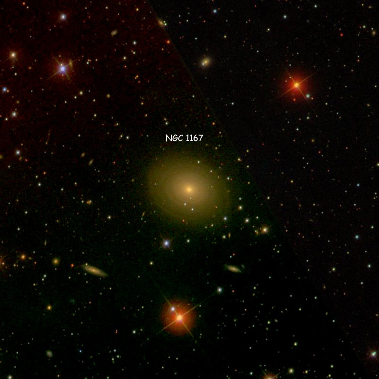 SDSS image of region near lenticular galaxy NGC 1167