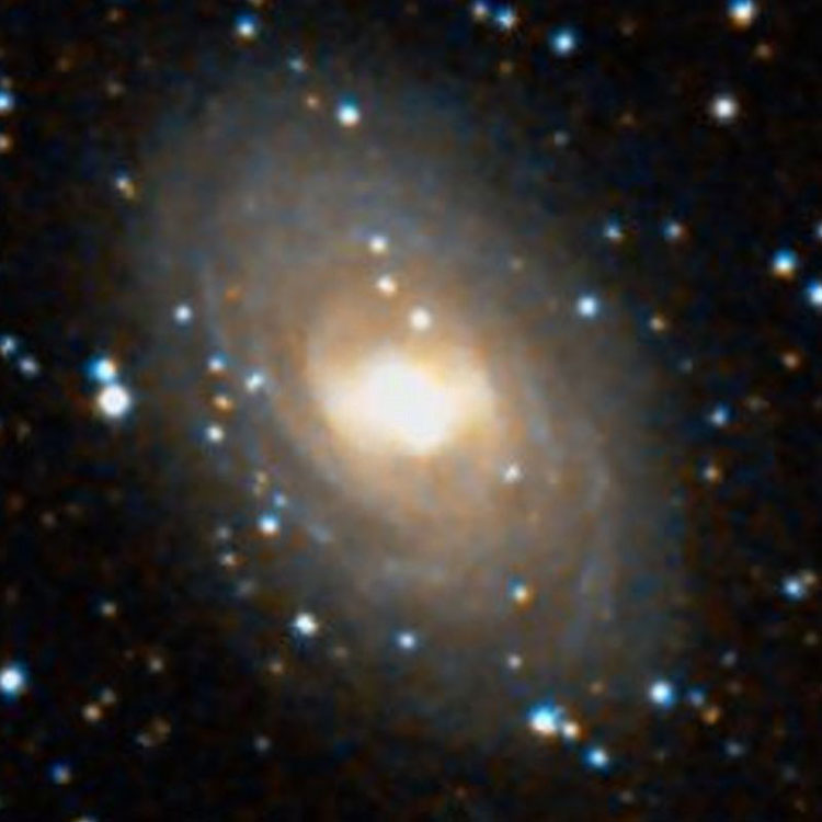 DSS image of spiral galaxy NGC 1169