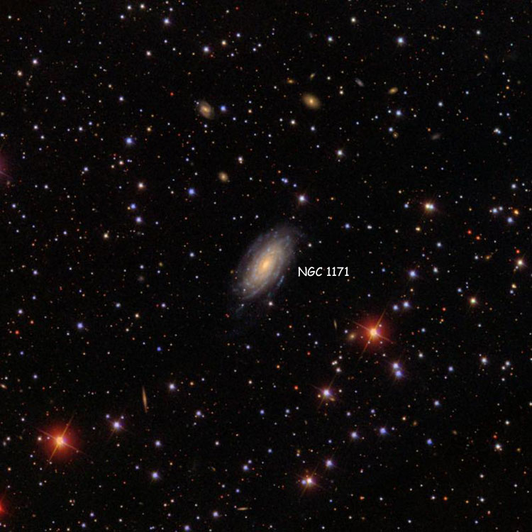 SDSS image of region near spiral galaxy NGC 1171