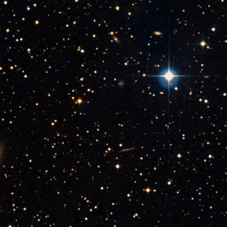 DSS image of region near Corwin's position for NGC 1173