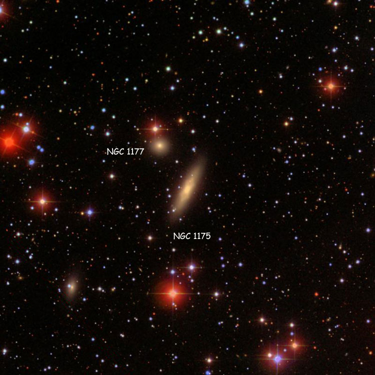 SDSS image of region near lenticular galaxy NGC 1175, also showing NGC 1177