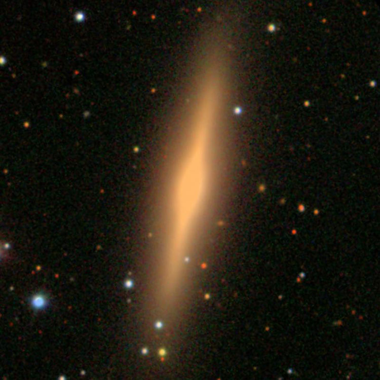 SDSS image of spiral galaxy NGC 1184