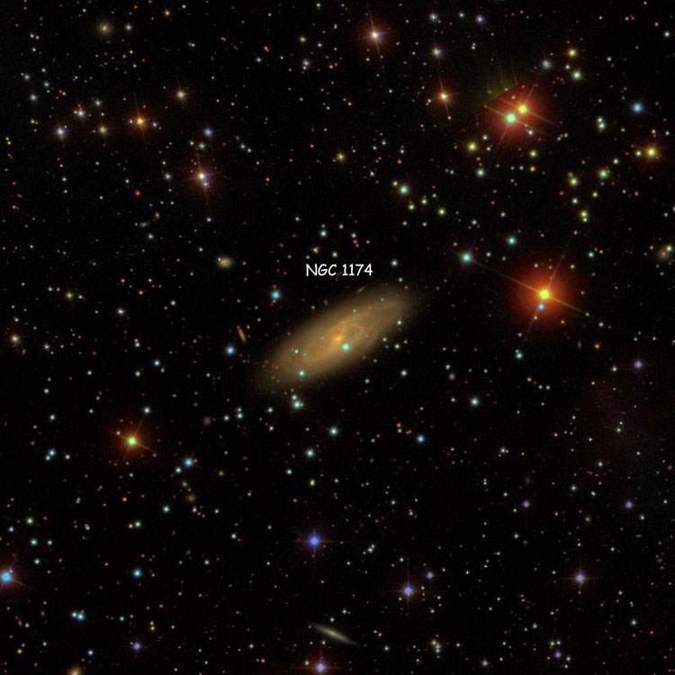 SDSS image of region near spiral galaxy NGC 1186