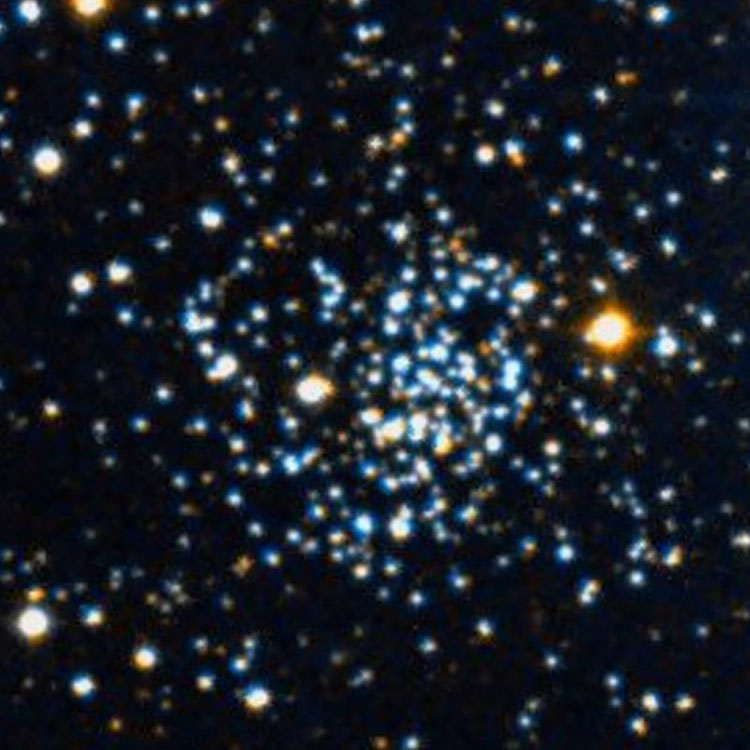 DSS image of open cluster NGC 1193