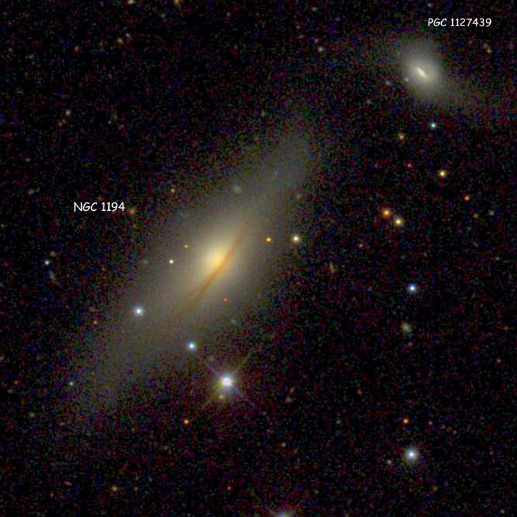 SDSS image of spiral galaxy NGC 1194, also showing its probable companion, PGC 1127439