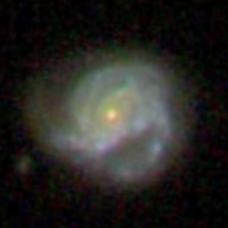 SDSS image of spiral galaxy NGC 1202