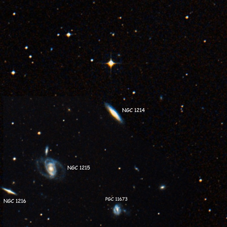 DSS image of region near lenticular galaxy NGC 1214, a member of Hickson Compact Group 23, also showing the other members of the Group, NGC 1215, NGC 1216 and PGC 11673
