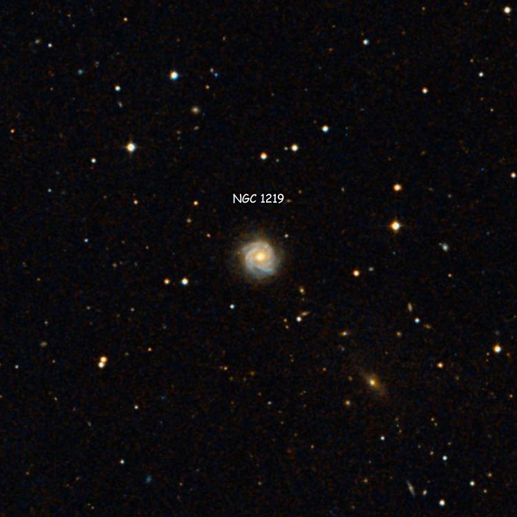 DSS image of region near spiral galaxy NGC 1219