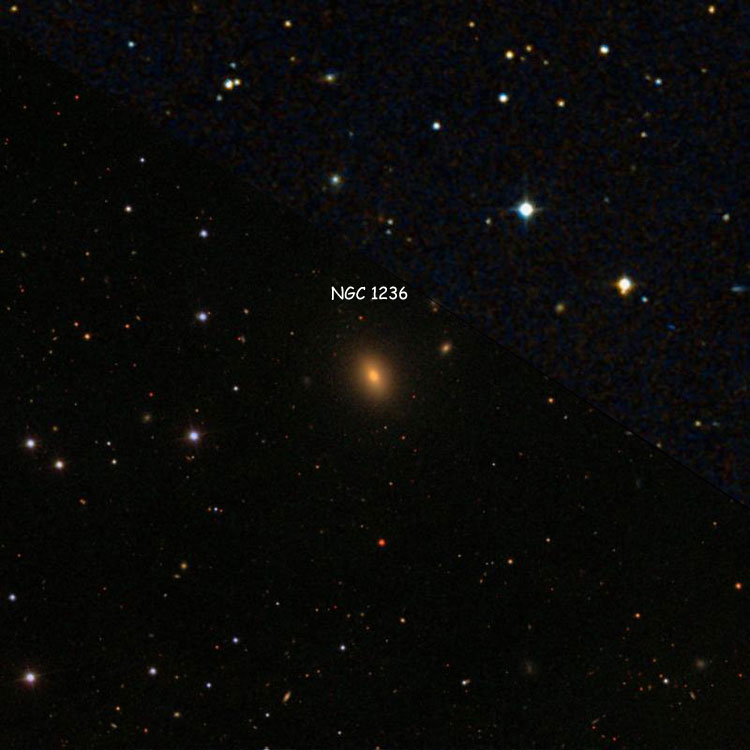 SDSS image of region near elliptical galaxy NGC 1236, overlaid on a DSS background to fill in missing areas