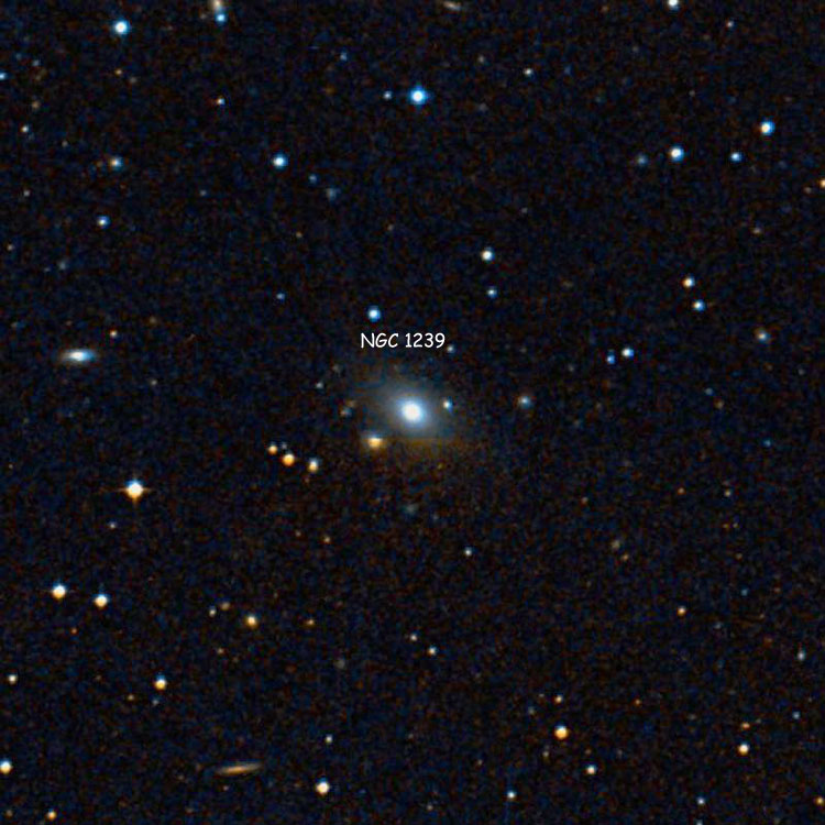 DSS image of region near lenticular galaxy NGC 1239