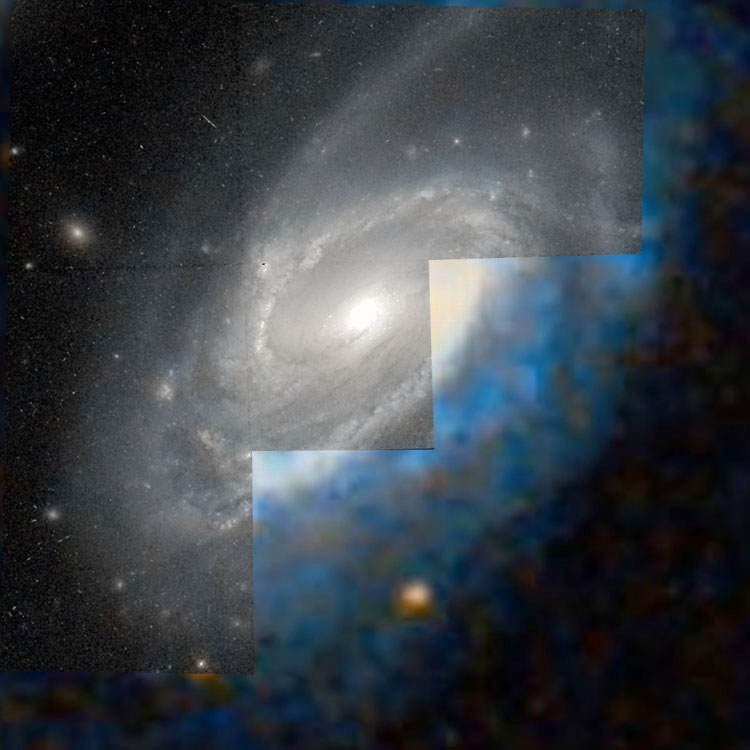 'Raw' HST image of spiral galaxy NGC 1241 overlaid on a DSS background to fill in missing regions