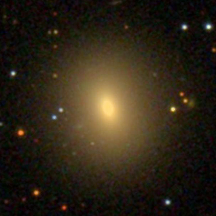 SDSS image of elliptical galaxy NGC 1270