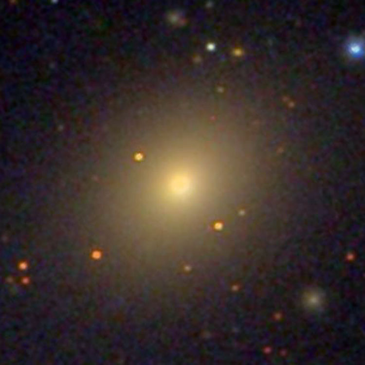 SDSS image of lenticular galaxy NGC 1273