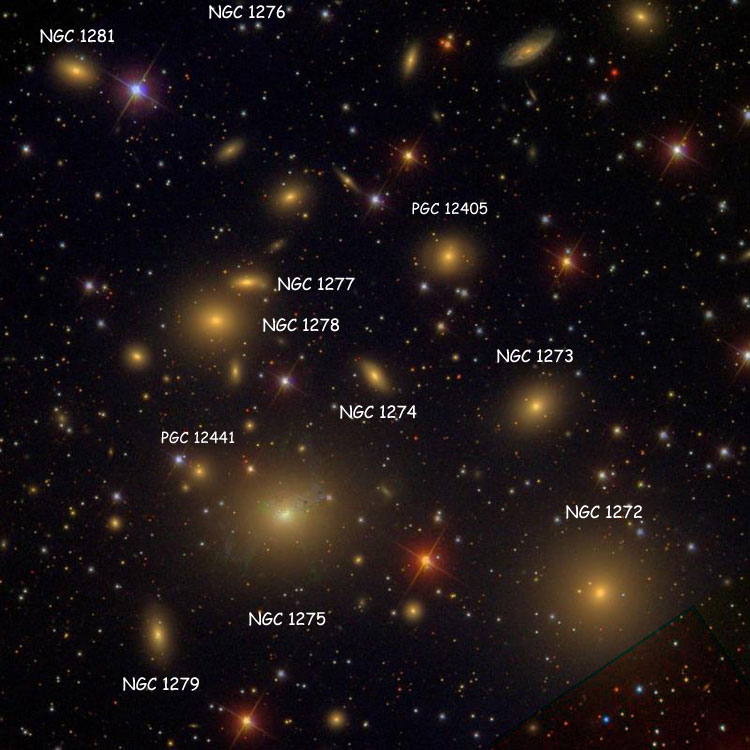 SDSS image of region near lenticular galaxy NGC 1274, also showing NGC 1272, NGC 1273, NGC 1274, NGC 1275, NGC 1276, NGC 1277, NGC 1278, NGC 1279, NGC 1281 and PGC 12405 (which is often misidentified as IC 1907) and PGC 12441 (often misidentified as NGC 1279)