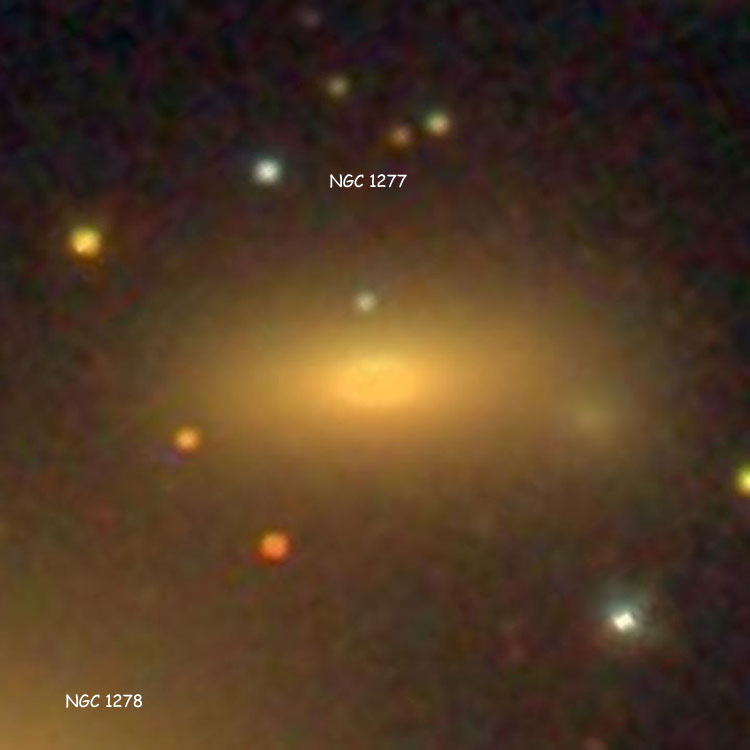 SDSS image of lenticular galaxy NGC 1277, also showing part of NGC 1278