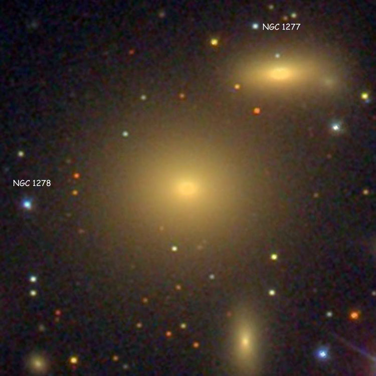 SDSS image of elliptical galaxy NGC 1278, also showing NGC 1277