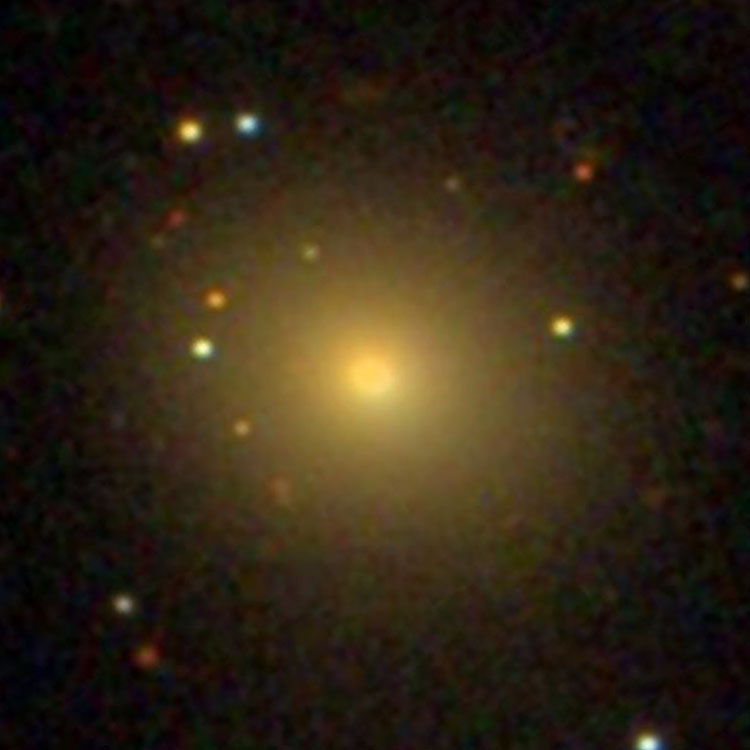 SDSS image of elliptical galaxy NGC 1283
