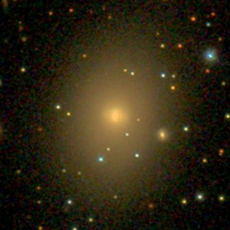 SDSS image of elliptical galaxy NGC 1294