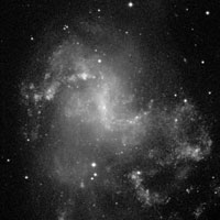 de Vaucouleurs Atlas of Galaxies image of page for NGC 1313