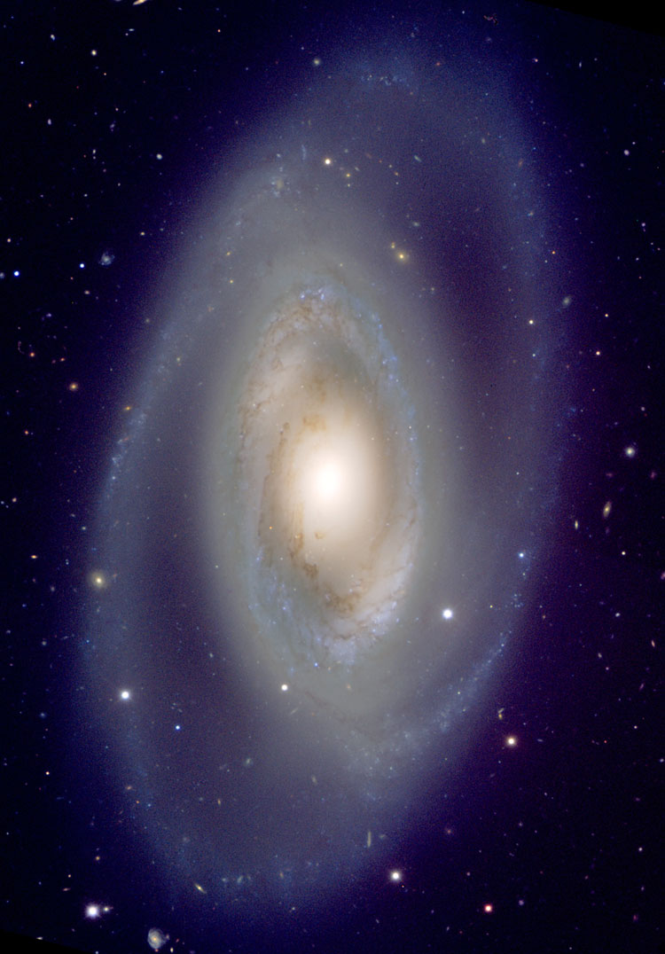 ESO image of spiral galaxy NGC 1350