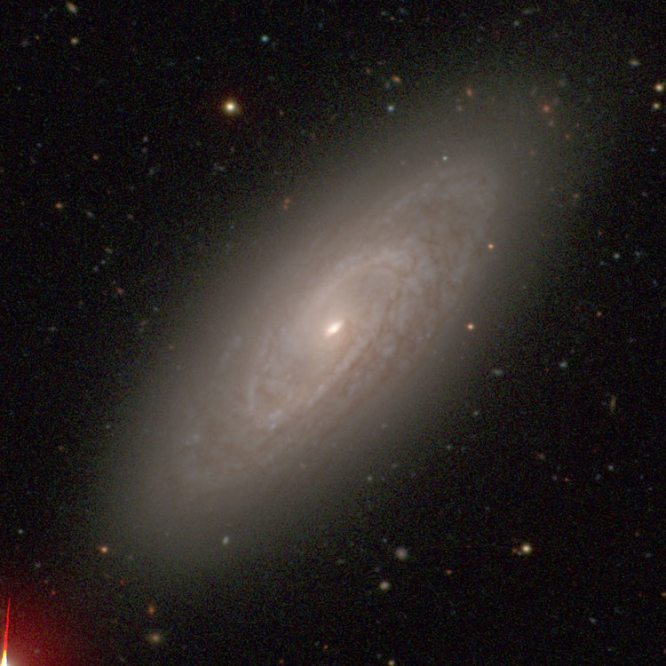 Carnegie-Irvine Galaxy Survey image of spiral galaxy NGC 1353