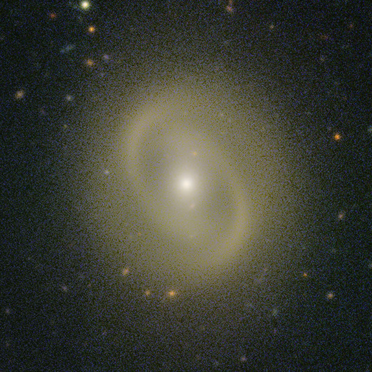 ESO image of spiral galaxy NGC 1369