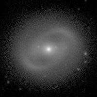de Vaucouleurs Atlas of Galaxies image of page for NGC 1369