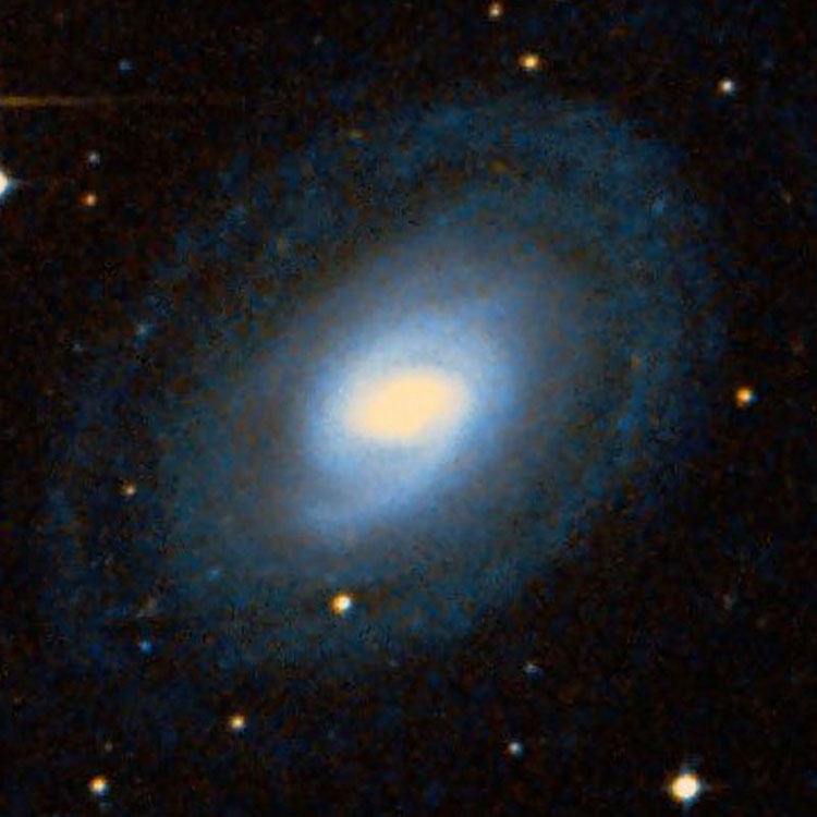 DSS image of spiral galaxy NGC 1367, also known as NGC 1371
