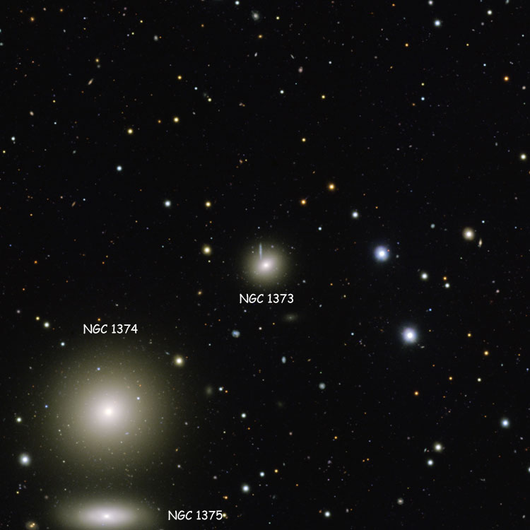 ESO image of region near elliptical galaxy NGC 1373, also showing NGC 1374 and NGC 1375