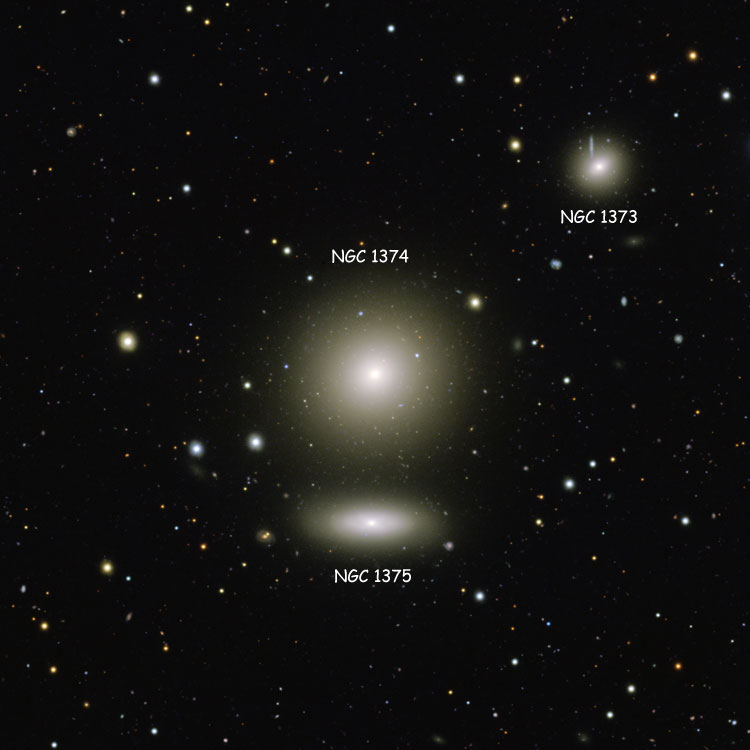 ESO image of region near elliptical galaxy NGC 1374, also showing NGC 1373 and NGC 1375