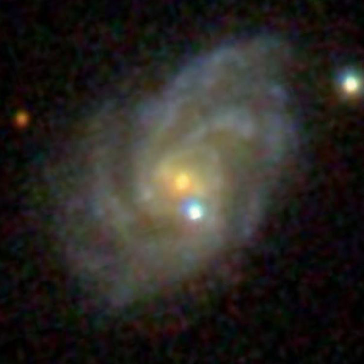 SDSS image of spiral galaxy NGC 1384