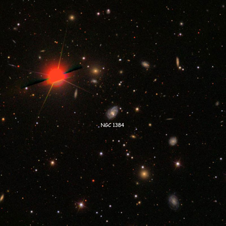 SDSS image of region near spiral galaxy NGC 1384