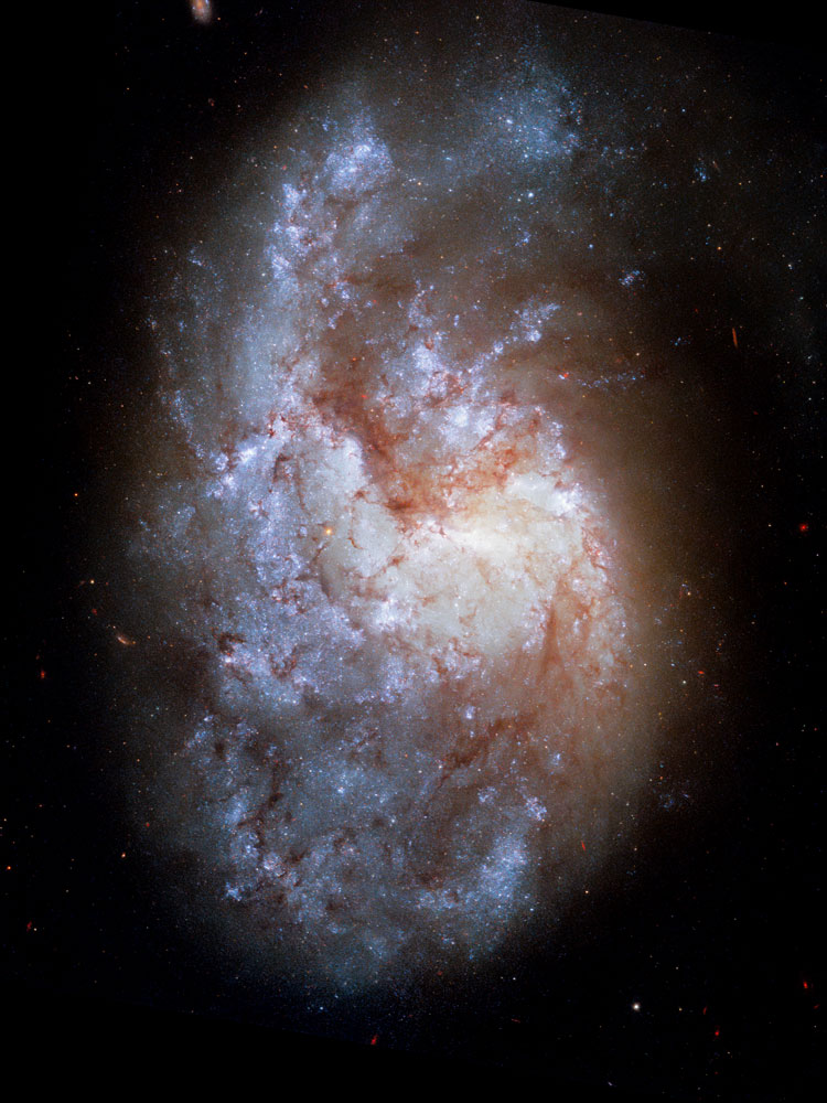 HST image of the central portion of spiral galaxy NGC 1385
