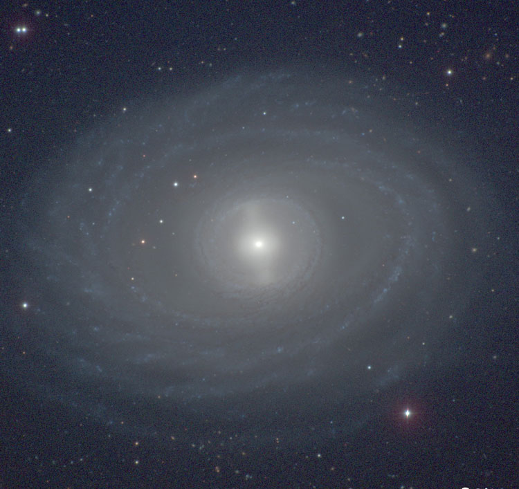 Carnegie-Irvine Galaxy Survey image of spiral galaxy NGC 1398