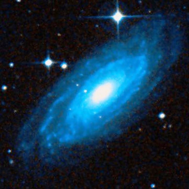 DSS image of spiral galaxy NGC 1425
