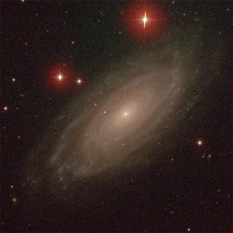 Carnegie-Irvine Galaxy Survey image of spiral galaxy NGC 1425