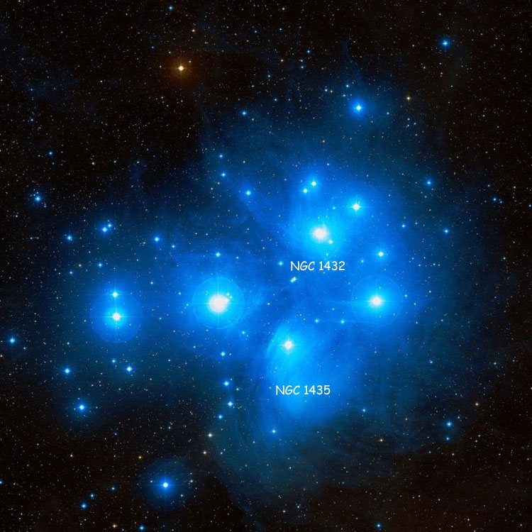 DSS image of the region near reflection nebula NGC 1432, also called the Maia Nebula, and reflection nebula NGC 1435, also called the Merope nebula, showing the cluster Maia and Merope belong to, the Pleiades