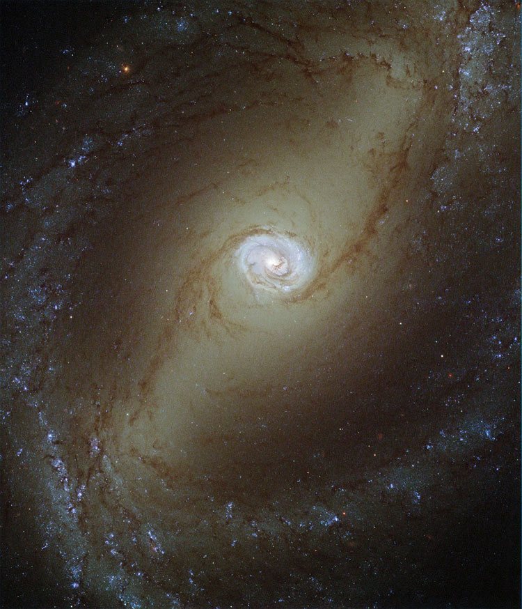Partially processed HST image of the central bar of spiral galaxy NGC 1433