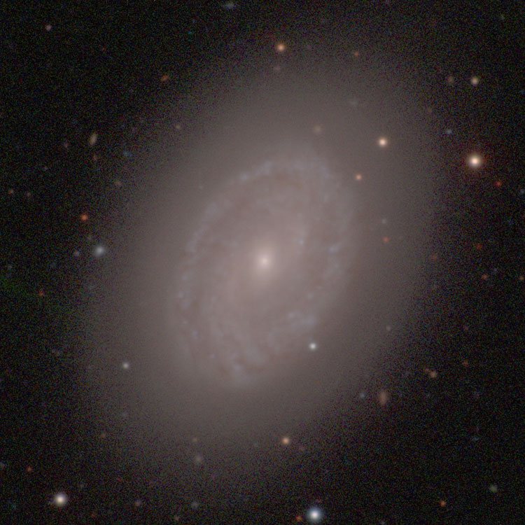 Carnegie-Irvine Galaxy Survey image of spiral galaxy NGC 1436, also listed as NGC 1437