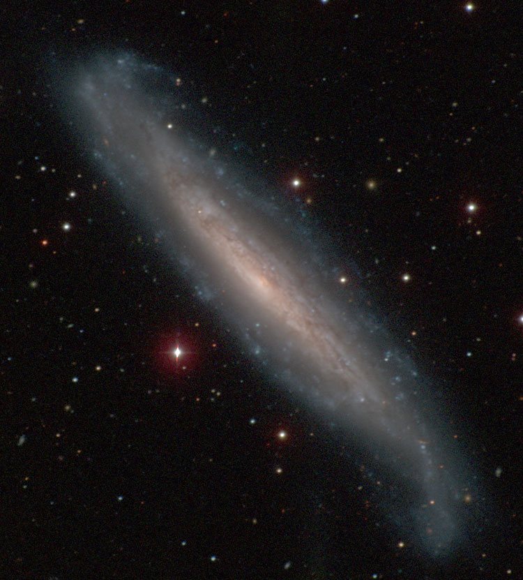 Carnegie-Irvine Galaxy Survey image of spiral galaxy NGC 1448