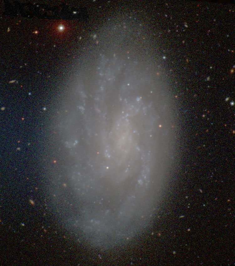 Carnegie-Irvine Galaxy Survey image of spiral galaxy NGC 1494