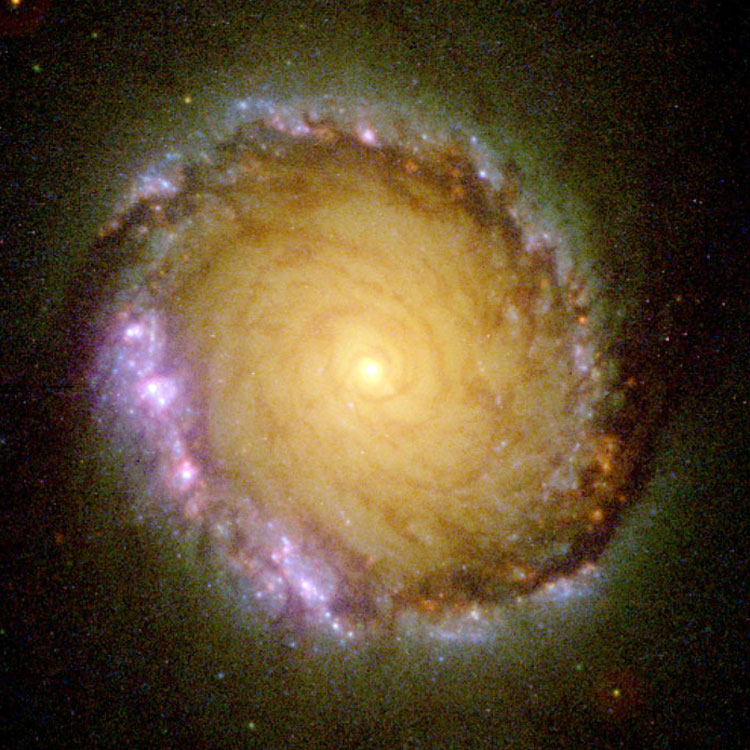 HST multispectral image of central core of spiral galaxy NGC 1512