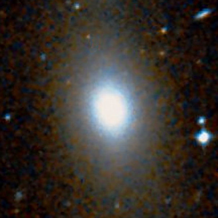 DSS image of elliptical galaxy NGC 1521
