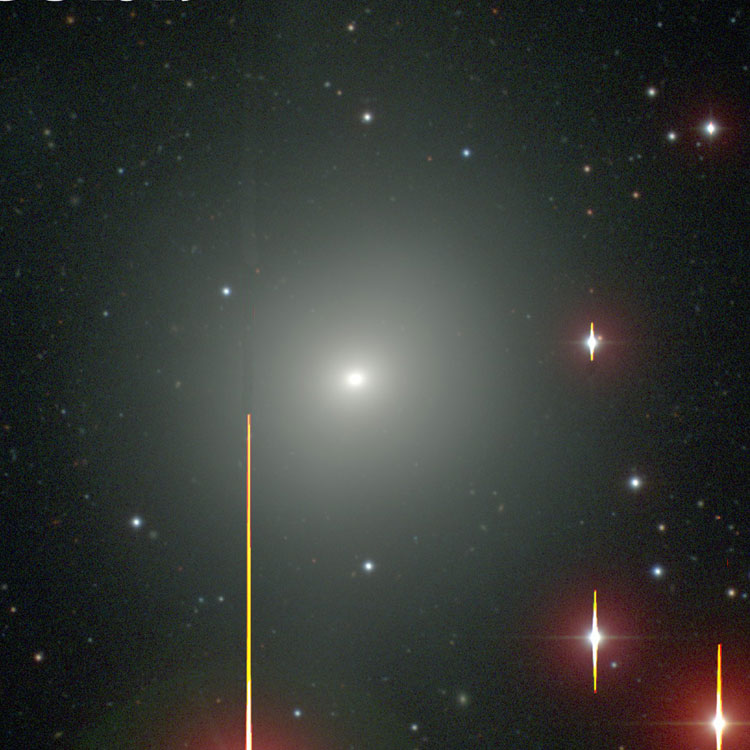 Carnegie-Irvine Galaxy Survey image of  elliptical galaxy NGC 1549