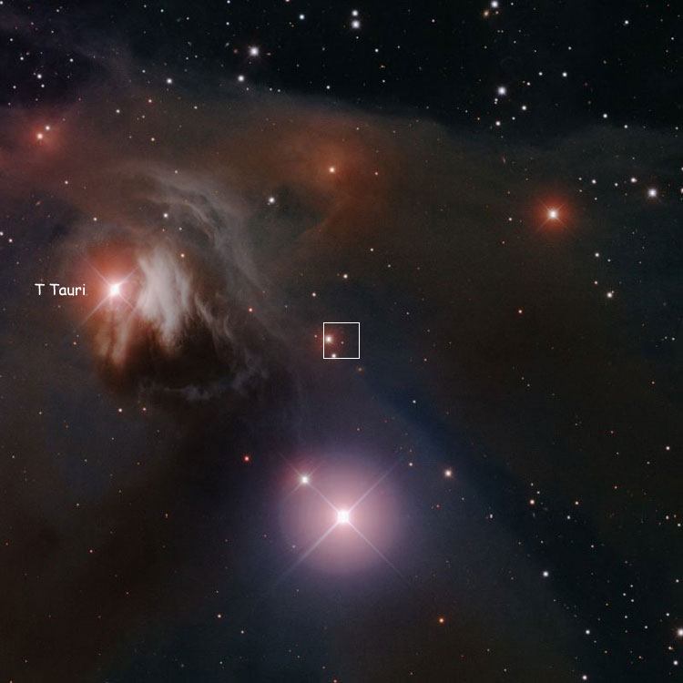 NOAO image centered on the location of NGC 1554, also known as Struve's Lost Nebula; also shown is T Tauri, the variable star lighting up the region