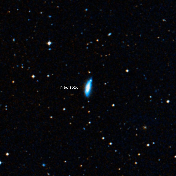 DSS image of region near spiral galaxy NGC 1556