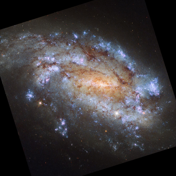 HST image of spiral galaxy NGC 1559